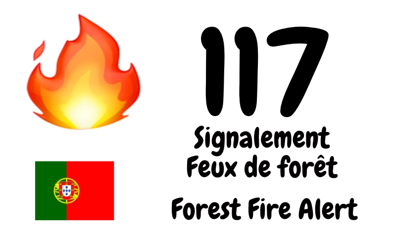 Fiches urgences Feu Emergency Fire