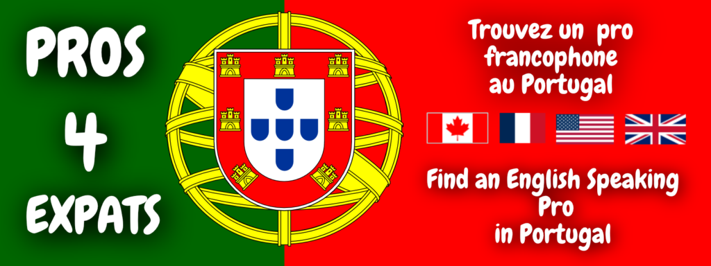 Drapeau PT