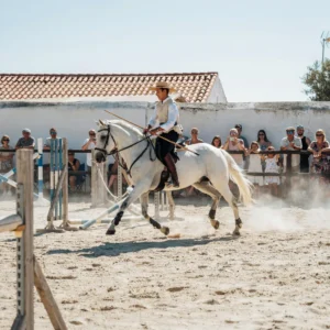 Myth #3 working Equitation PT